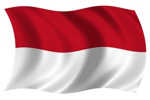 Bendera Indonesia  They Hate My Picture
